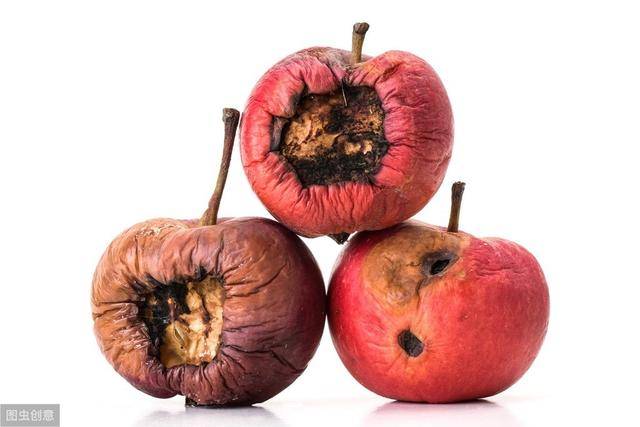 腐烂的水果,最好扔掉,切莫舍不得