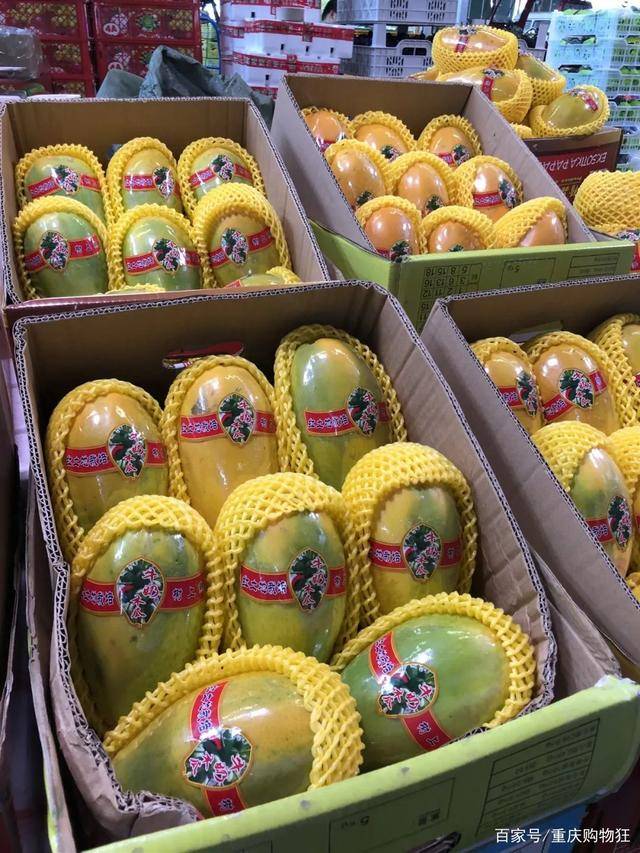 爆走重庆最大水果批发市场!100元实现自由,2元就能称1斤