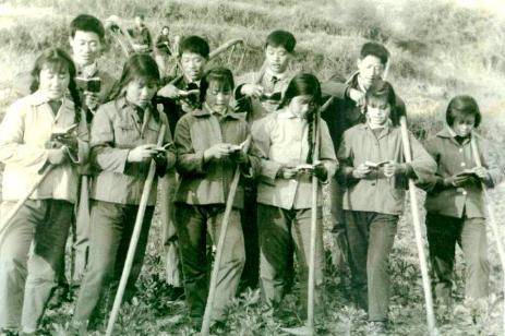 原创激荡的青春革命的理想上山下乡运动中的老三届知青们