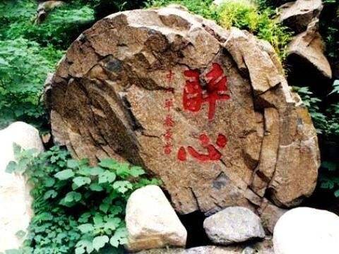 醉心"二字,一方面是取"陶醉心灵"之意,另一方面,也源于园中的"醉心石"