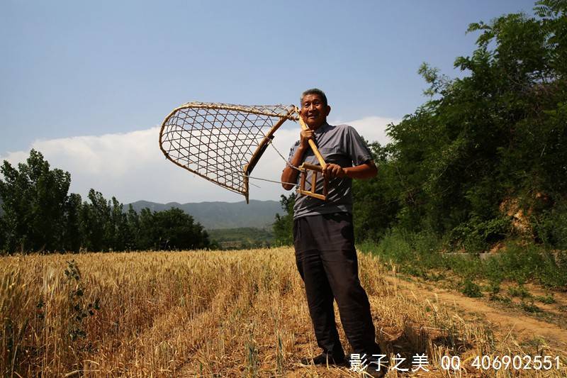 "掠子" 割麦神器 晋南垣曲传统麦收工具