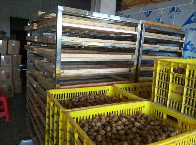 不得不说的龙眼烘干机