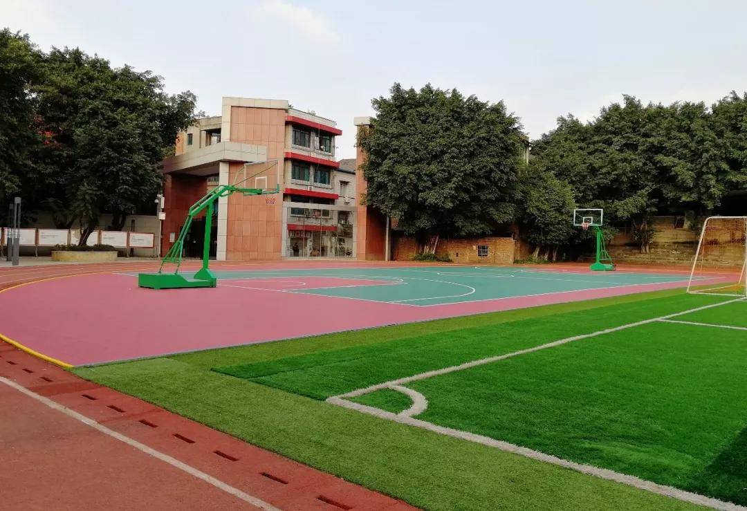 重庆校园文化建设 | 树人树艺,学驰天地 ——重庆八中树人中学环境