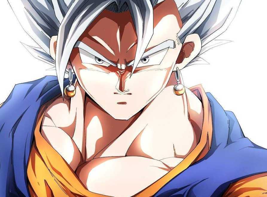 龙珠图集:合体战士——悟吉塔与贝吉特