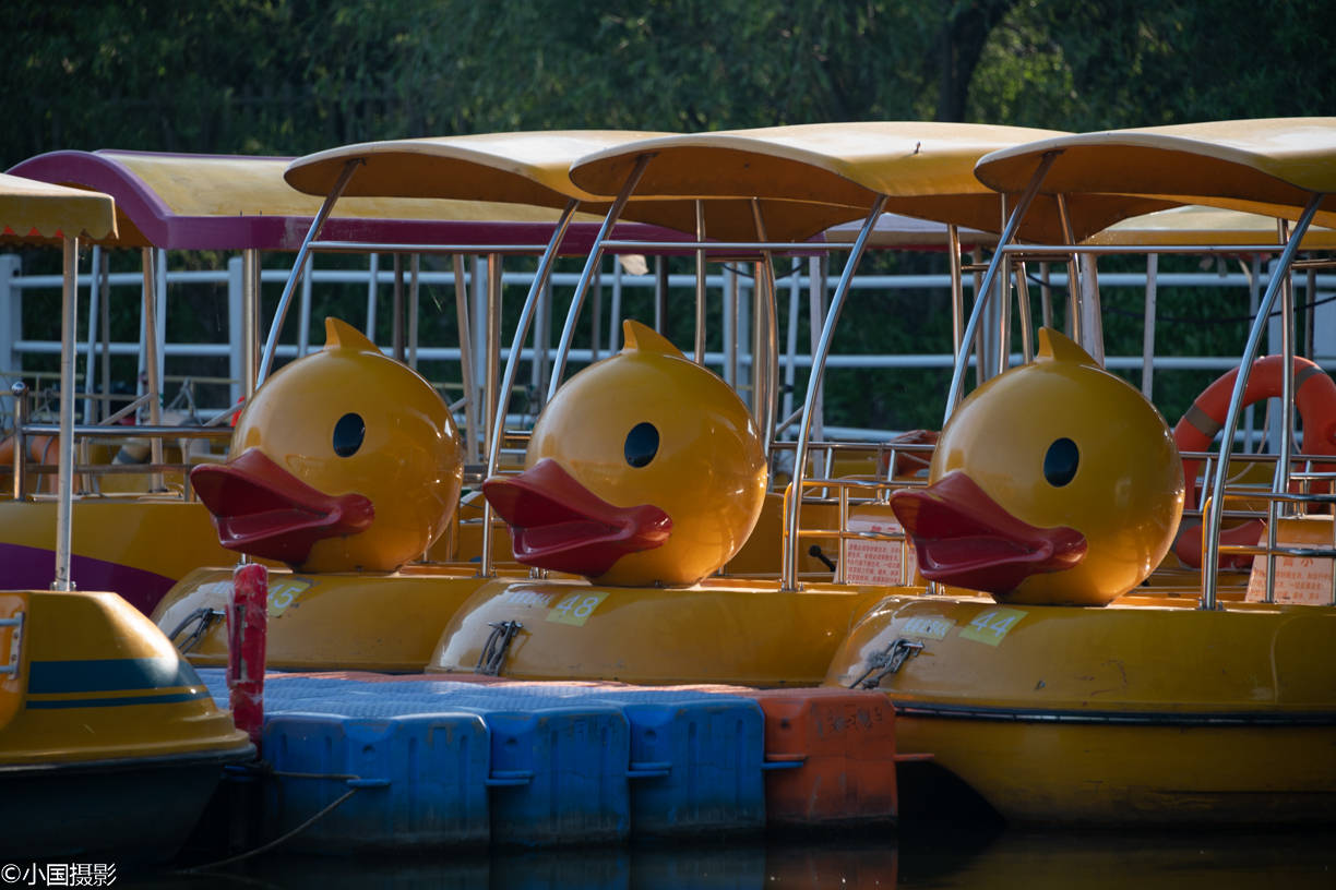 网红船大黄鸭