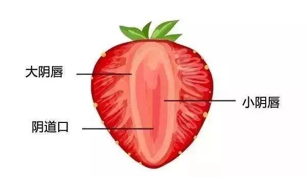 你get到这些女性私密保养秘笈吗