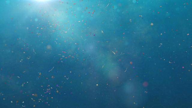 原创科学家发现海底有史以来最高水平的微塑料