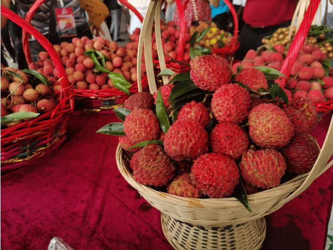 2020灵山荔枝文化旅游节开幕