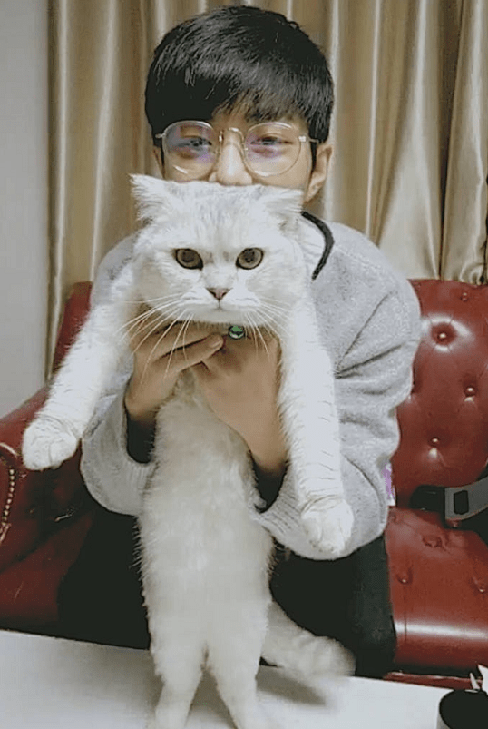 肖战的粉丝都知道他养了两只猫,一只是蓝白曼基康品种,名字有点好笑叫