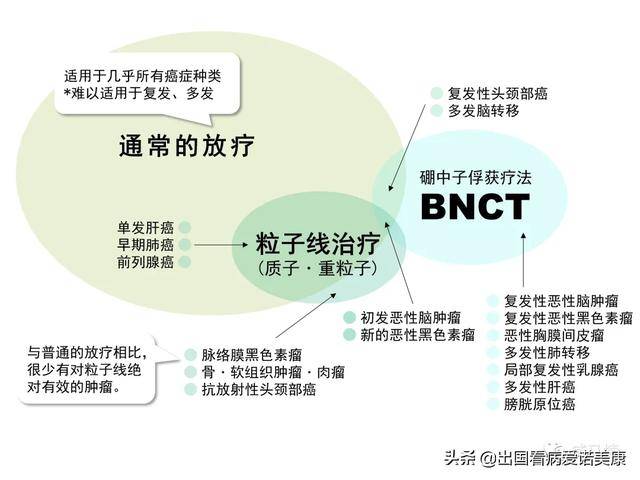 一文读懂日本硼中子俘获疗法