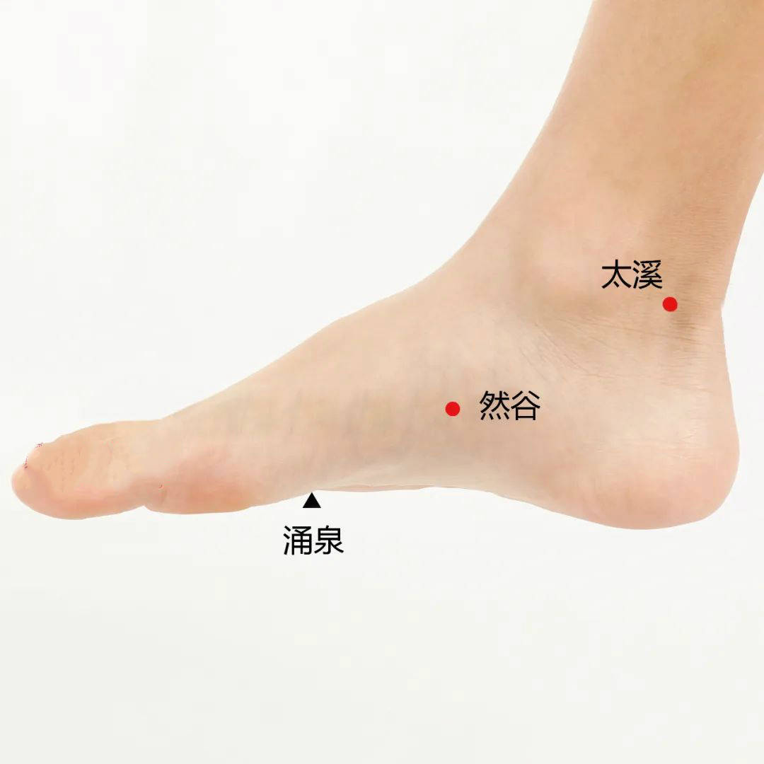 三伏灸…….有你不知道的秘密