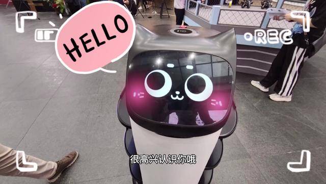 被angelababy周震南等摸头杀机器人贝拉凭什么受宠