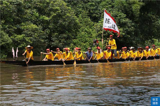 很适合龙舟比赛,平时埋在水底泥中,端午前挖出,洗干净后在船头挂