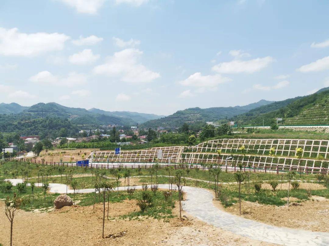 重磅!徽县柳林镇柳林遗址公园落成