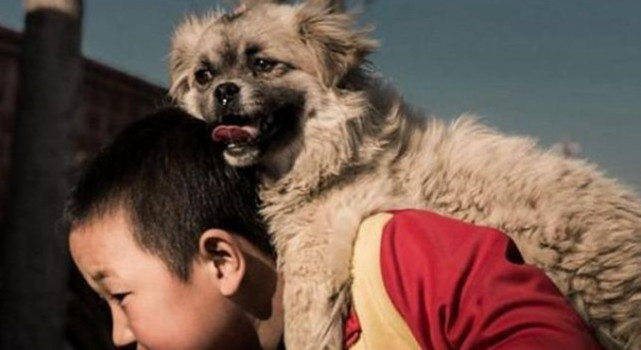 农村留守儿童没有玩伴和狗狗建立纯粹的友谊这一幕画面太美好