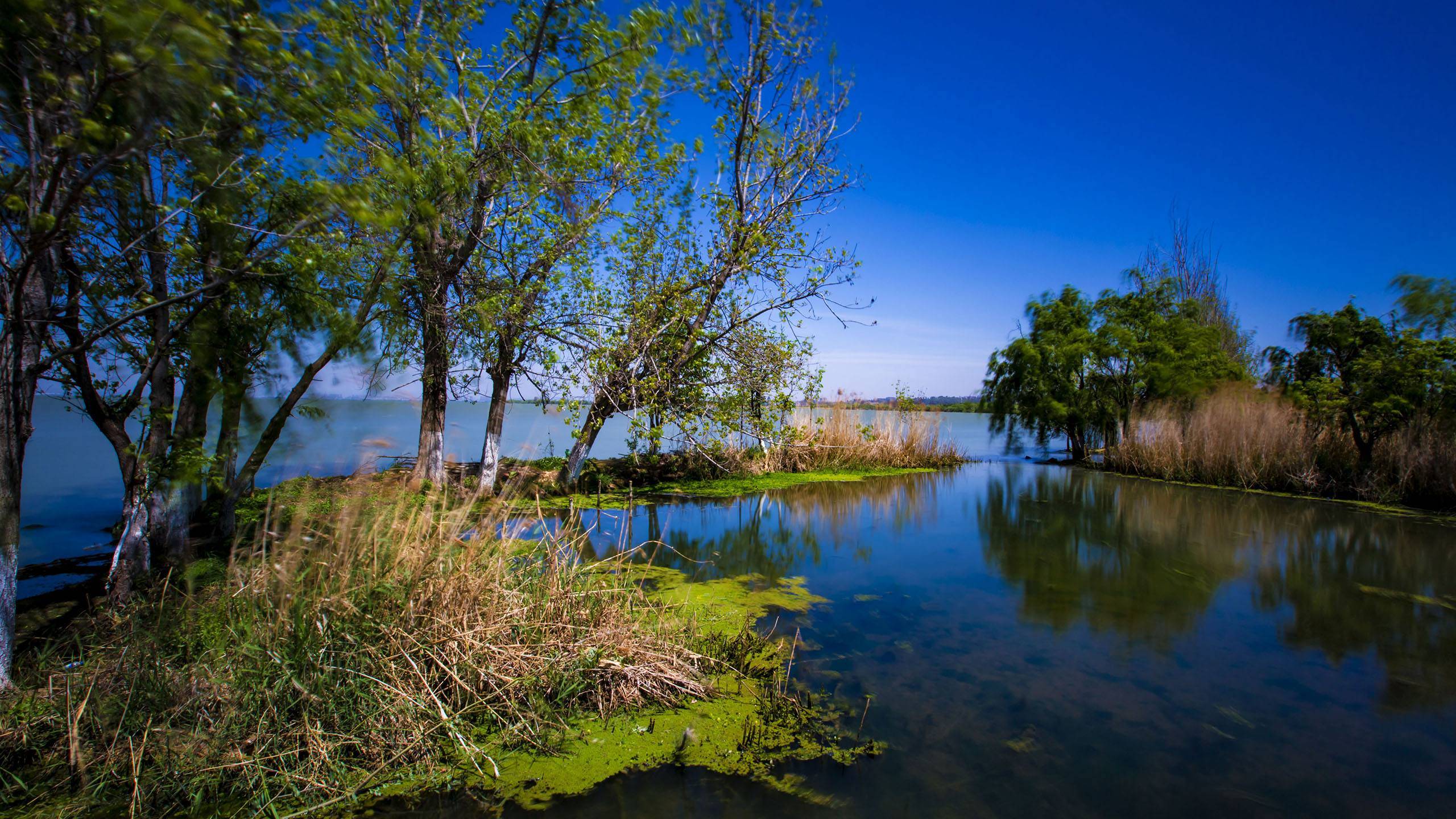 旅居·昆明:在昆明,去逛逛一下三个湿地公园的美景