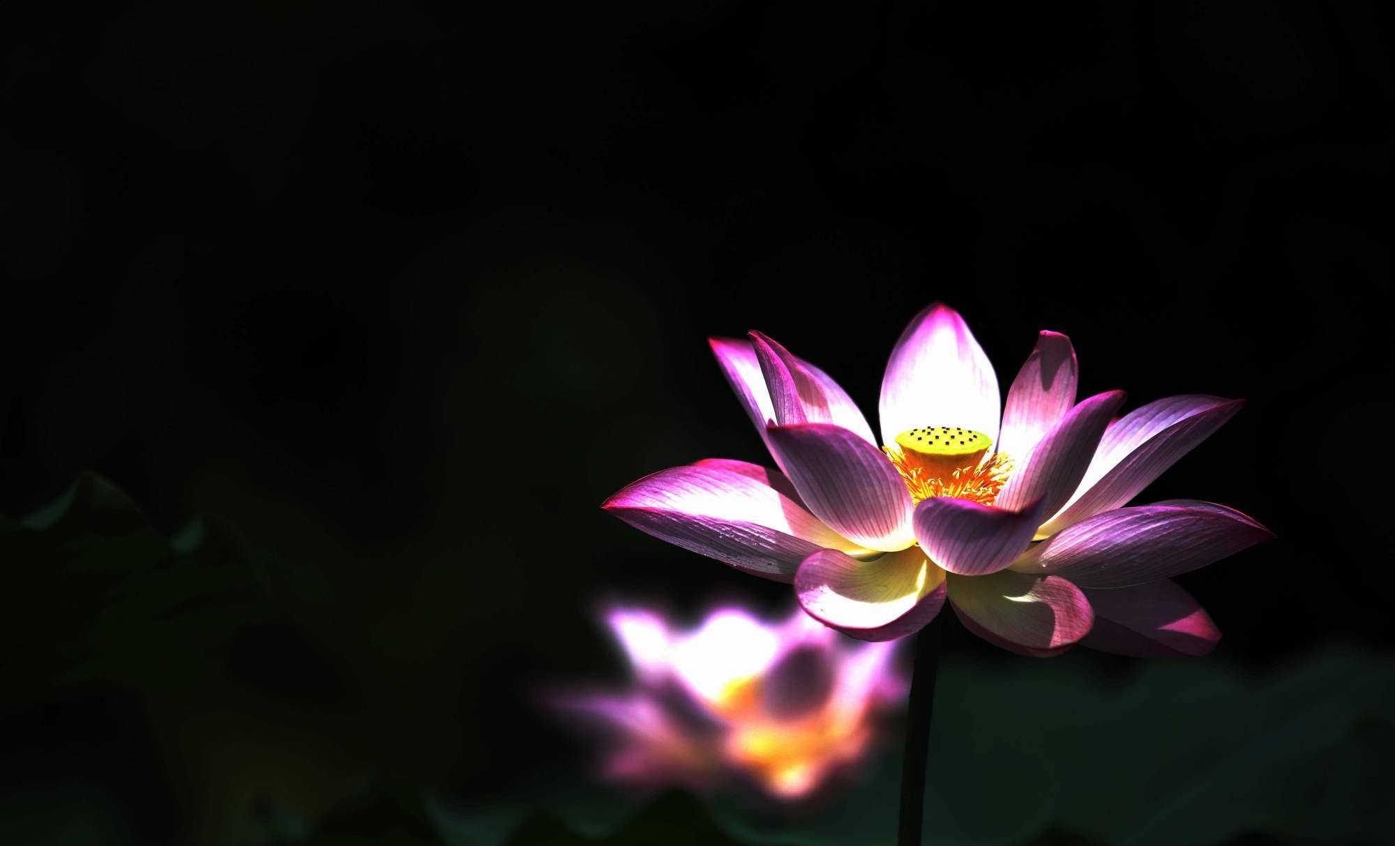 庄子智慧:列子老师壶子与巫师斗法的故事,暗藏道家修行三大玄机