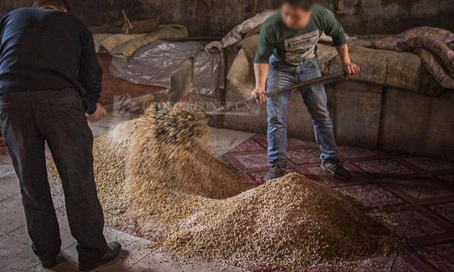 夏季用不锈钢酿酒设备做酒注意这4点,与"酒酸"说拜拜