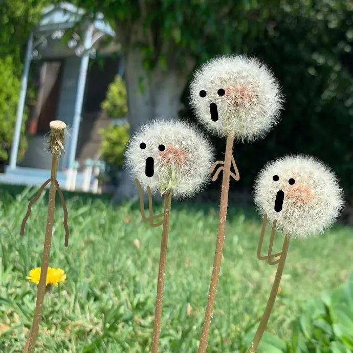 万物皆可爱,今日份治愈