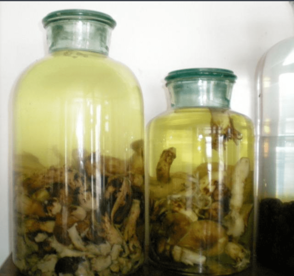 颠覆传统泡酒,主敬黄精酒借力高科技工艺,致力于打造健康养生白酒!