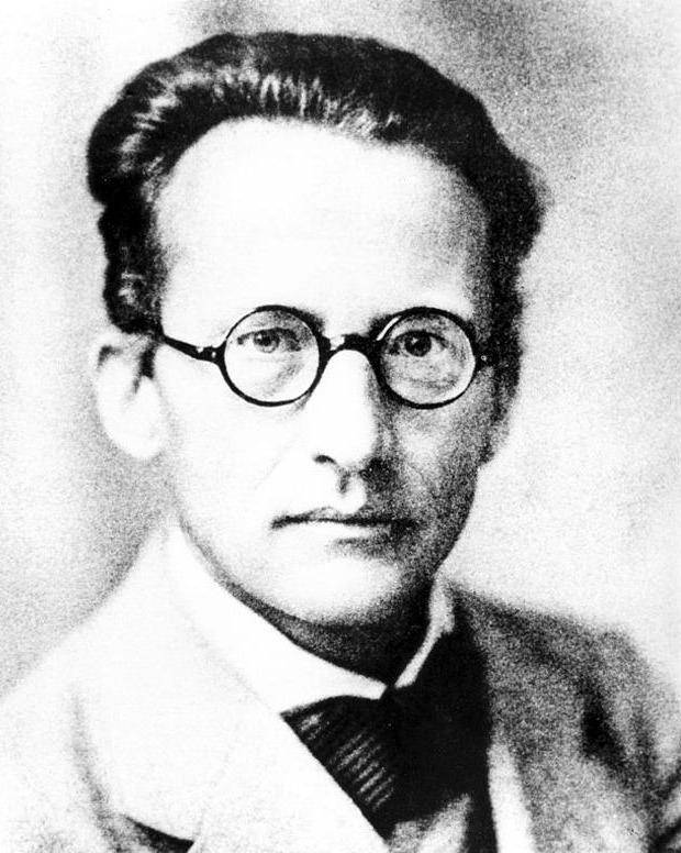 薛定谔的猫通俗解释,薛定谔的猫这梗怎么用插图