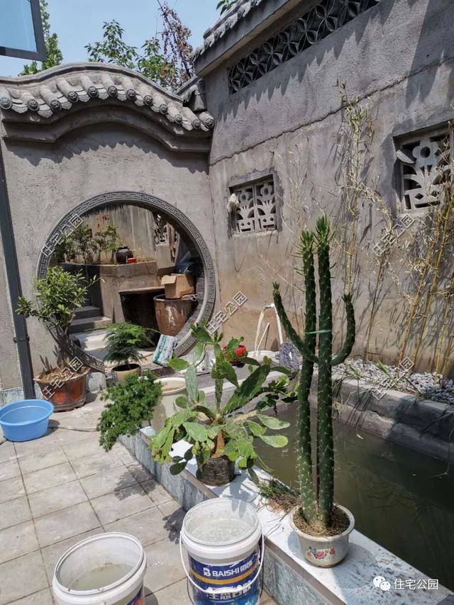 旧房改造丨农村老房大改造,瞬间变成小别墅,你给打几分?_房子