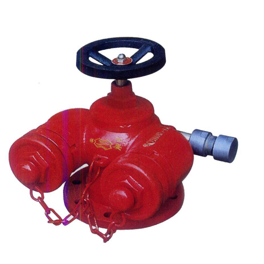 1,永久性标志,标明消火栓或喷淋接合器,压力2,室外要保温.