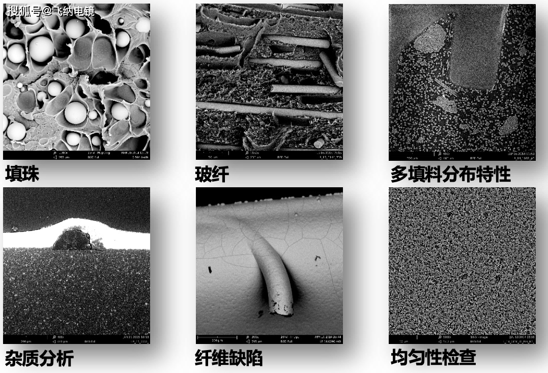通过扫描电镜成像,可以对各类填料材料,例如玻纤进行直径分析和缺陷