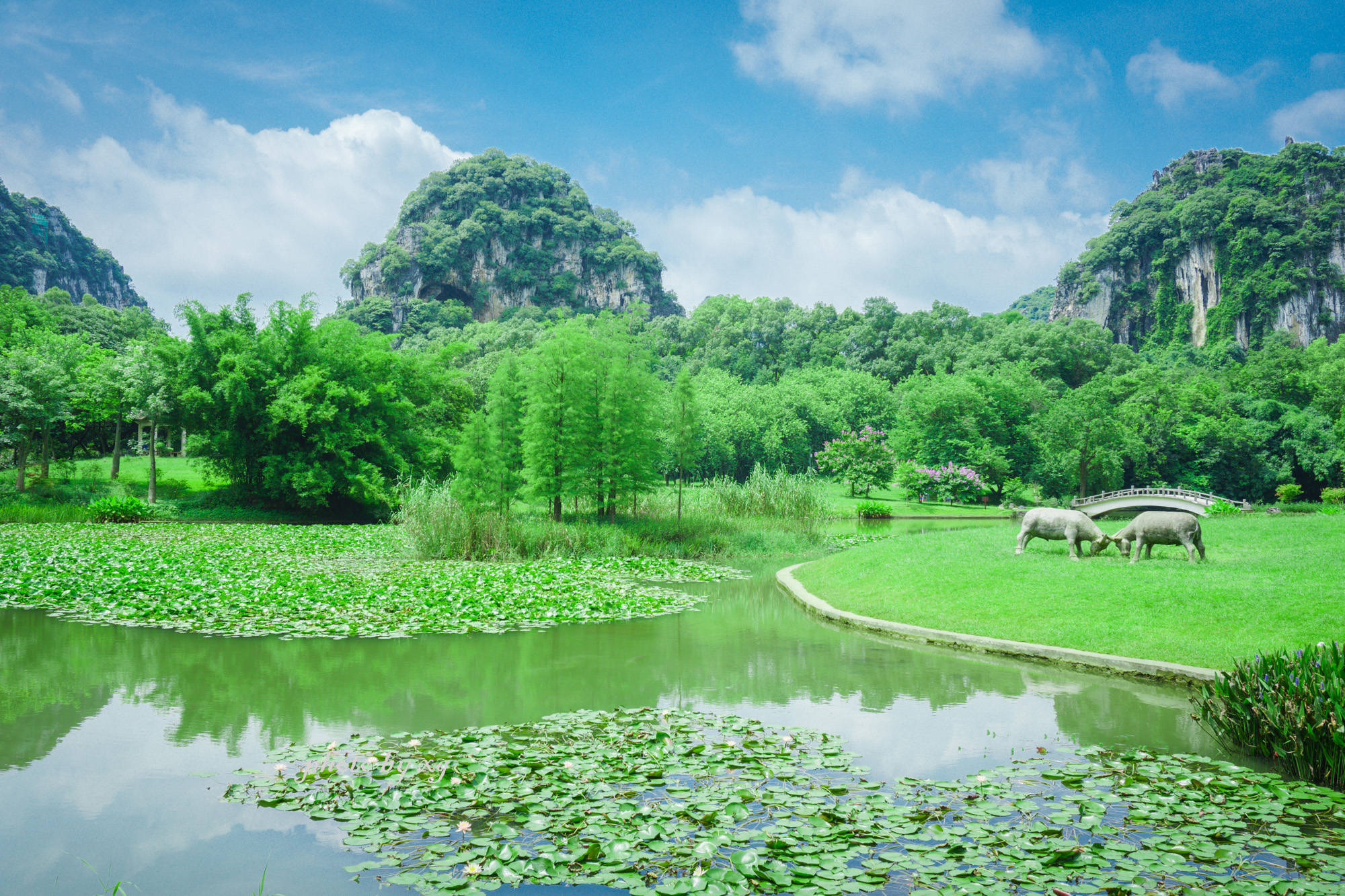 原创广西柳州最美的公园,与桂林一些景点相比毫不逊色,但游客不多!