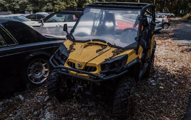 西湖景区里那些价值千万的僵尸车!