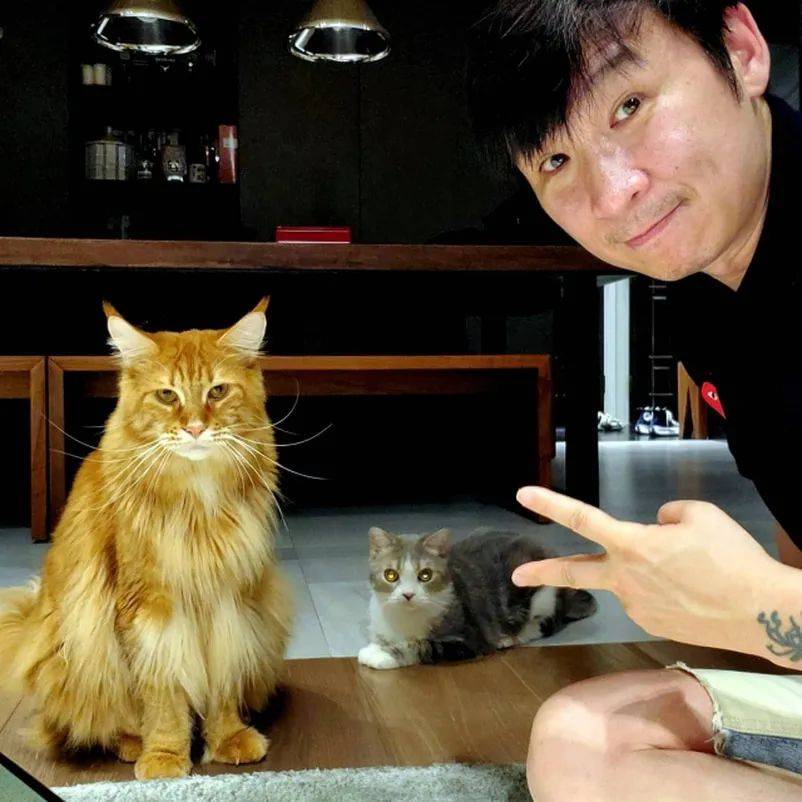 张惠妹经纪人陈镇川跟男友注册结婚,网友:猫咪应该很开心