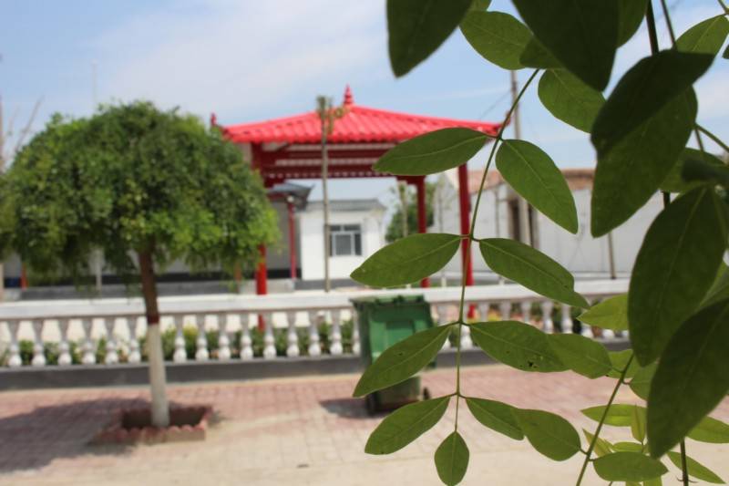 衡水市桃城区赵家圈镇李家店村美丽乡村建设为党增光添彩