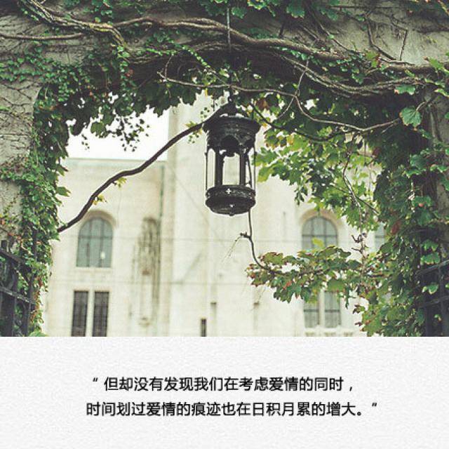 一句简单的"很高兴你能来,也不遗憾你离开"隐藏了多少莫名的忧伤,有