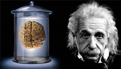 爱因斯坦对医护说了2句话,她却理解错了,最后大脑被切成240片