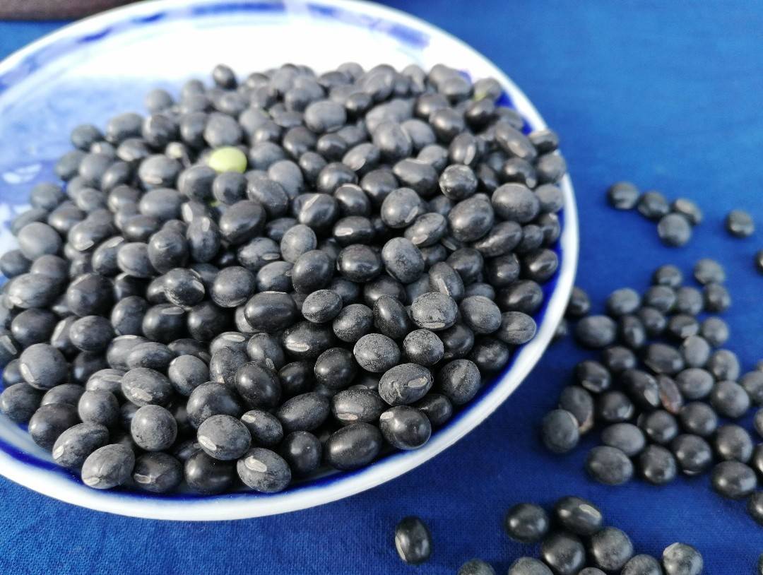 为什么现在一些农作物种子,标有"不得留种"的字样?