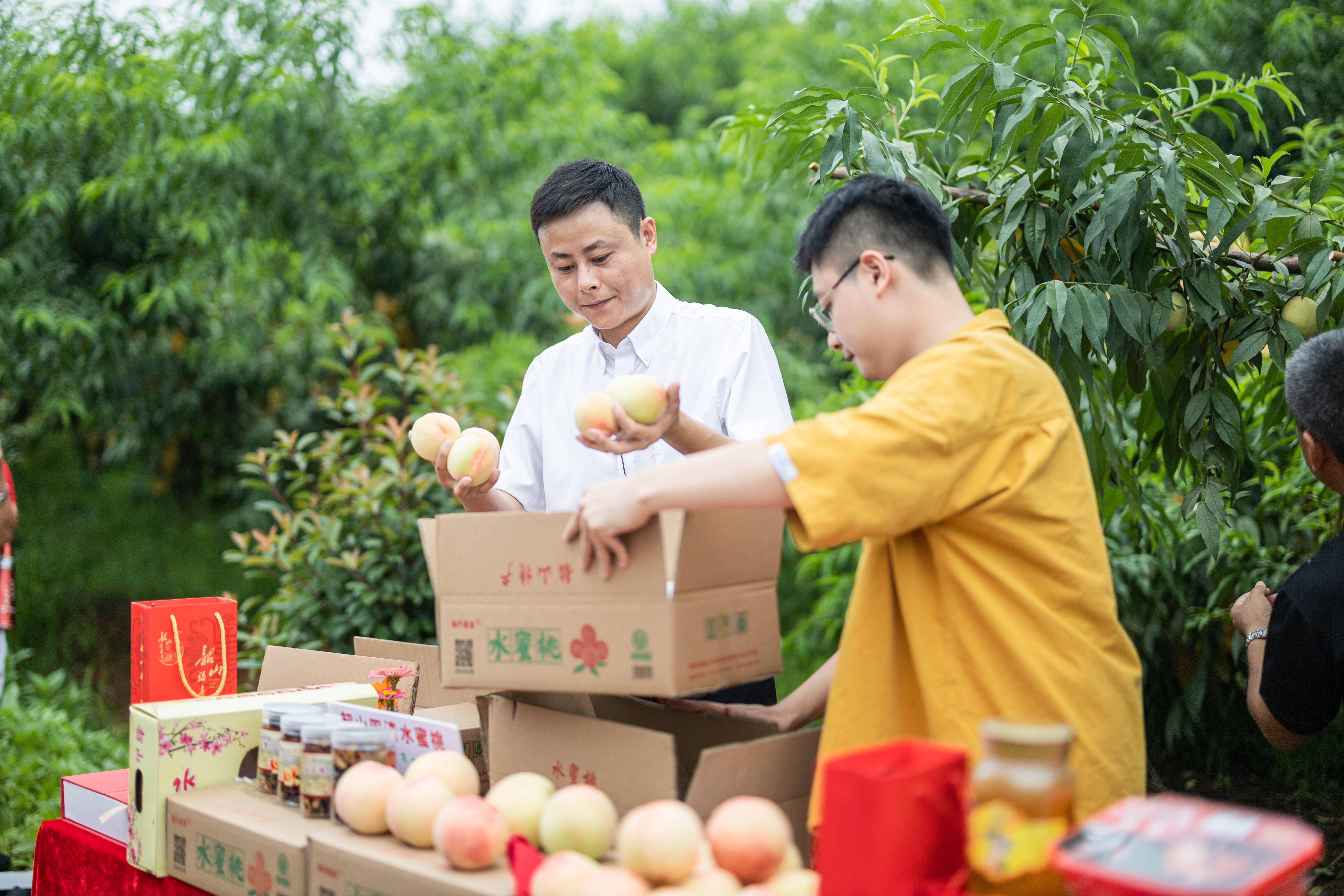 副市长直播"带货,为韶山水蜜桃"代言"