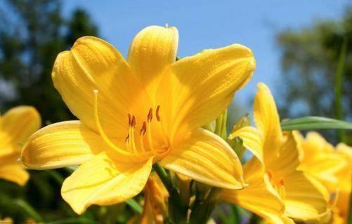 再过15天生肖运势(十二生肖运势2021514)