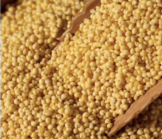 五谷之一的黍,为何没有像小麦,水稻一样成为现代人的主粮?