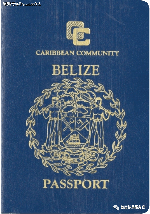 原创加勒比版的欧盟护照一本护照15本护照一般人都不知道
