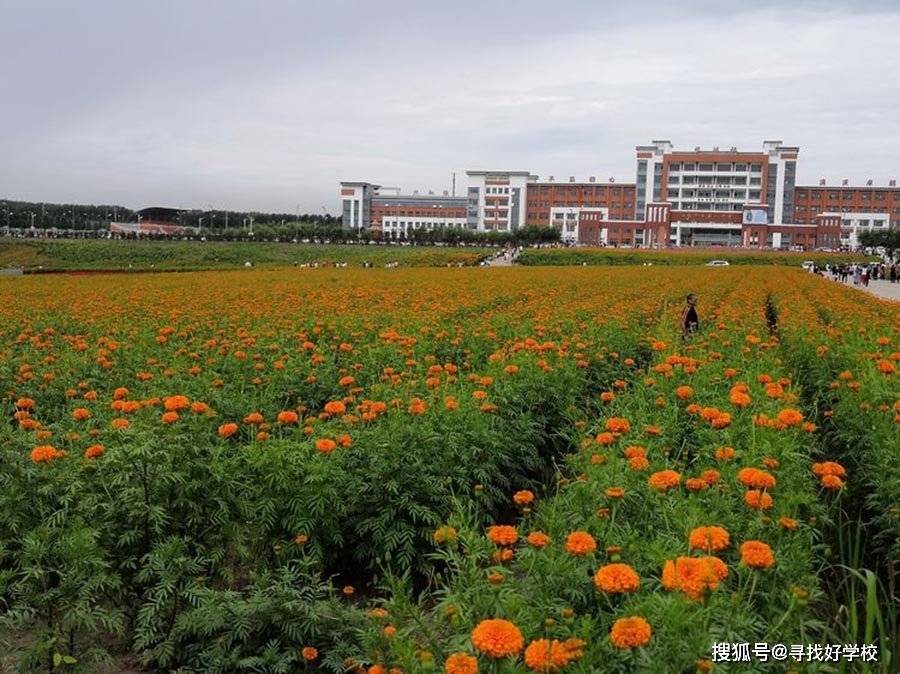 是学校见证了学生成长,还是学生见证了学校的建设—七台河一中