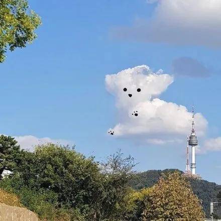 原来云彩里藏了这么多可爱的狗狗