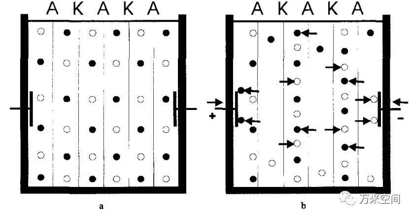 h. meyer)和施特勞斯(w.