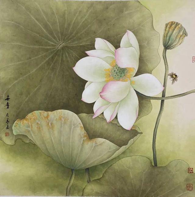 原创《书画南北方》莲花一朵出太湖一一曾友华画荷