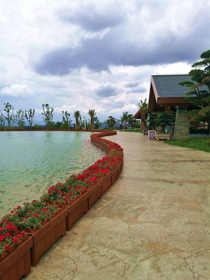 大地作畫,草牛奮蹄,遍野鮮花,彌勒太平湖森林公園真美!