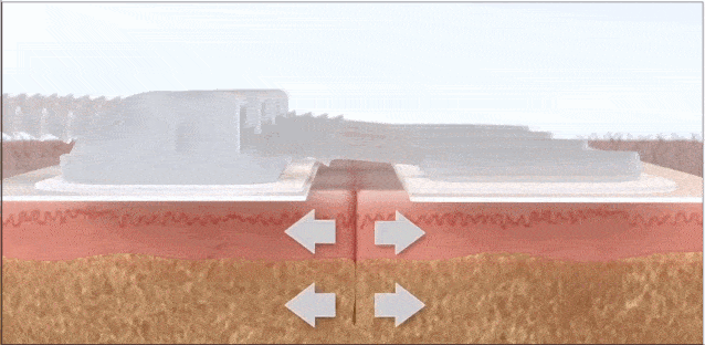 638_312gif 动态图 动图