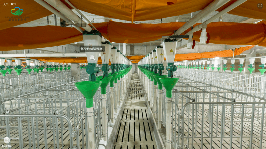 让母猪营养更精准——智能饲喂化解猪场双疫期尴尬