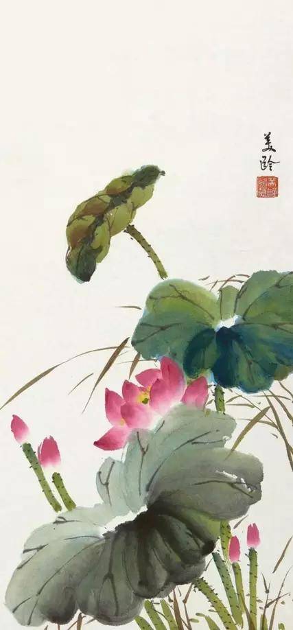 "映日荷花别样红"——名家笔下的荷花之美