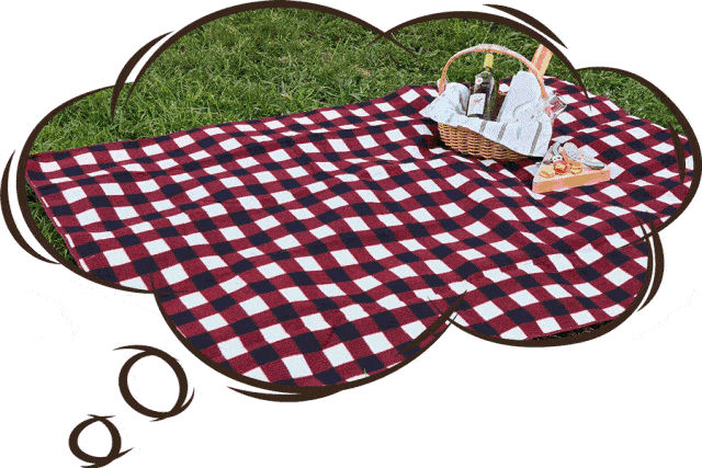 如果要 草地野餐,比一下谁的野餐桌布最闪耀