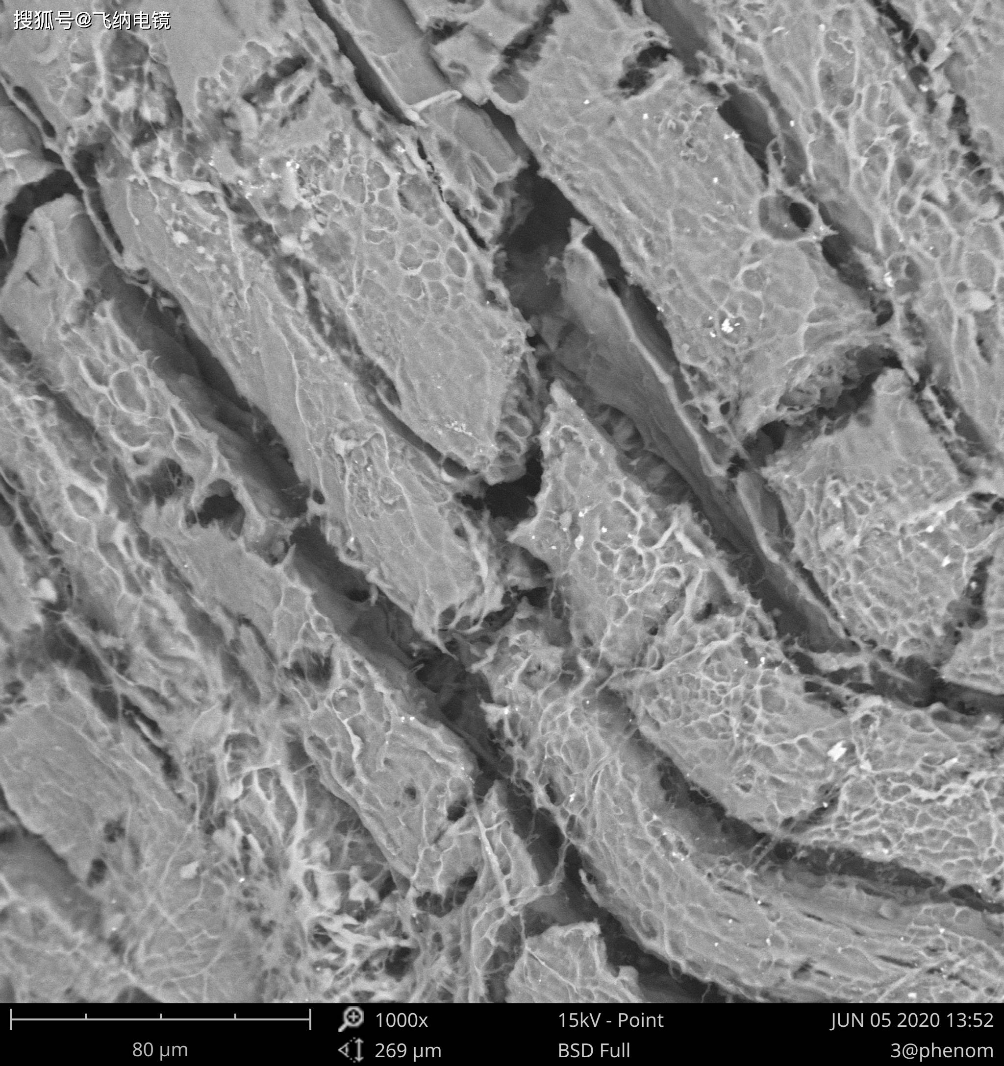 扫描电镜告诉你什么样的牛肉才好吃