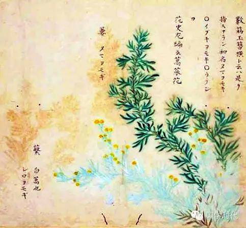 《尔雅》:百科辞典里的古老中国